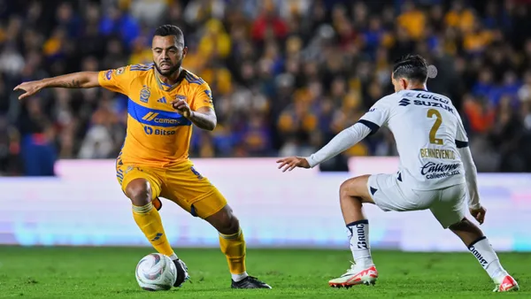 Los felinos tendrán una temporada donde pelearán por varios títulos.