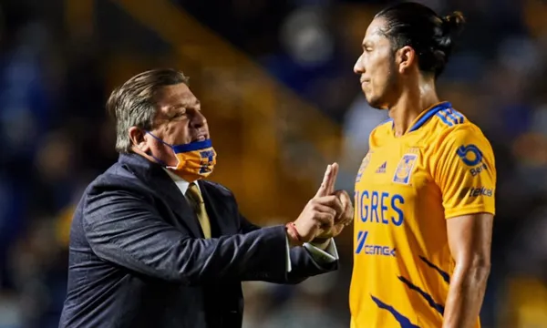 Los felinos tienen dos semanas para decidir el futuro de su equipo para lo que restará del torneo