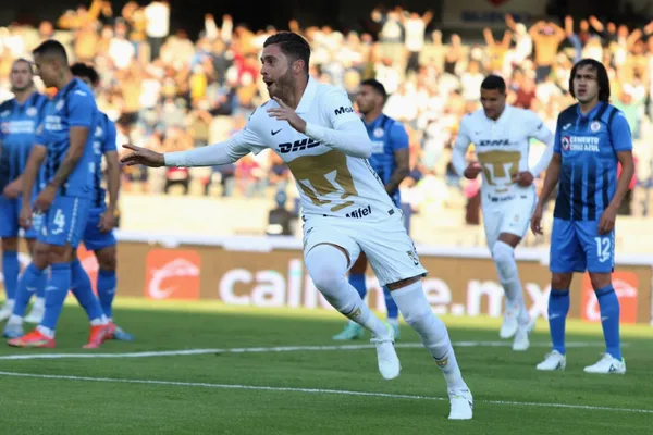 Los felinos tienen una dura prueba.