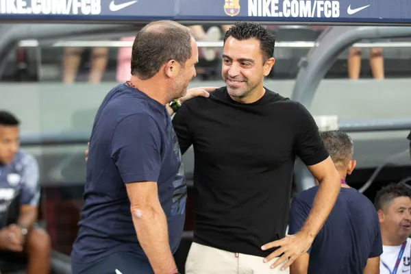 Los felinos vienen de una mala experiencia.