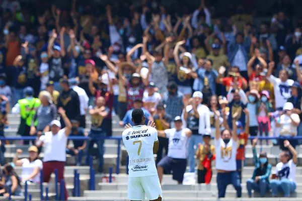 Los felinos ya se hicieron presentes.