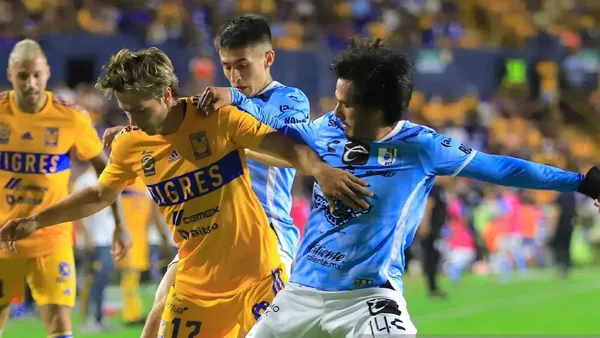 Los Gallos reciben a los felinos con el objetivo de conseguir un triunfo importante.