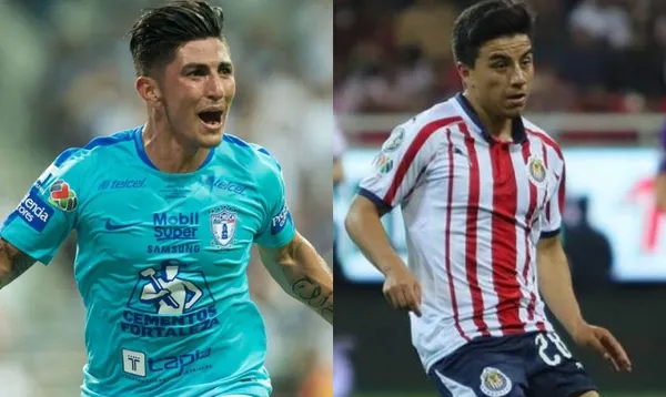 Los negocios que hizo el rebaño para tener a Guzmán