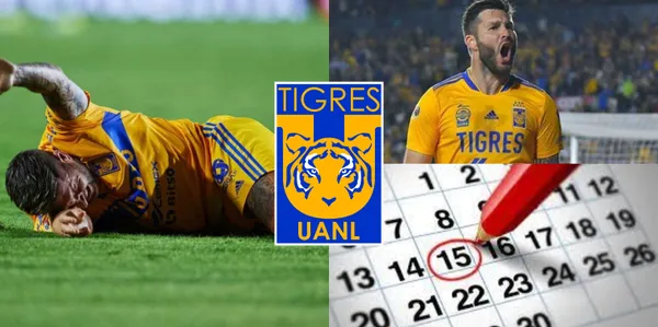 Luego del golpe que sufrió, en esta fecha volvería Gignac con los Tigres