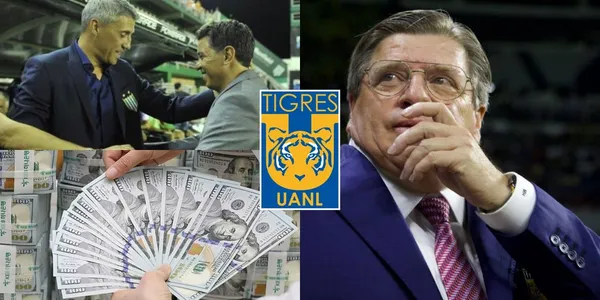 Miguel Herrera podría despedirse de Tigres y un nuevo DT estaría en la mira del cuadro felino
