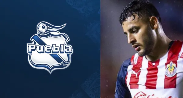 No solo bastó con la eliminación de las Chivas del torneo mexicano. Ahora el Community Manager se burló de las Chivas en donde más duele. Burla nacional.