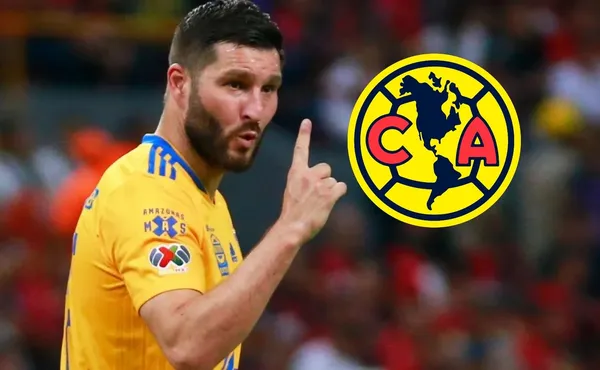 Parece que el vestidor en Tigres está roto y se habré la puerta a que Gignac fiche por el América.