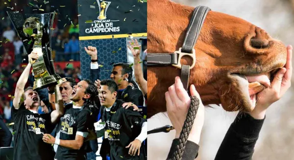 Pasó de ser campeón con la Máquina Cementera a cuidar caballos para subsistir.