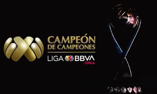 Pueden sumar un Campeón de Campeones a las vitrinas.