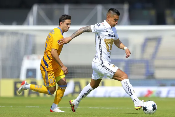 Pumas no pudo mantener el buen inicio del torneo.