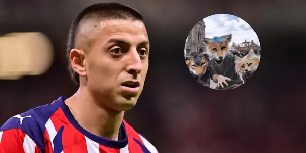 Roberto Alvarado deja unas ingeniosas declaraciones usando la tendencia de los Therians