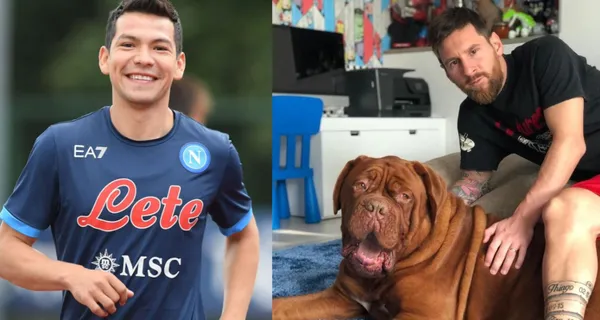 Se celebra el día mundial del perro. En redes sociales se inundan fotografías de las mascotas que nos ayudan en alegrías y tristezas. Esta es la diferencia de precio entre las mascotas de los dos jugadores.