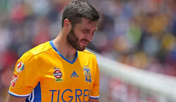 Se filtra detalles sobre la continuidad de André Gignac en Tigres.