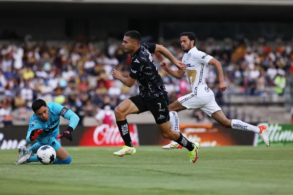 Segundo partido como local de los felinos.