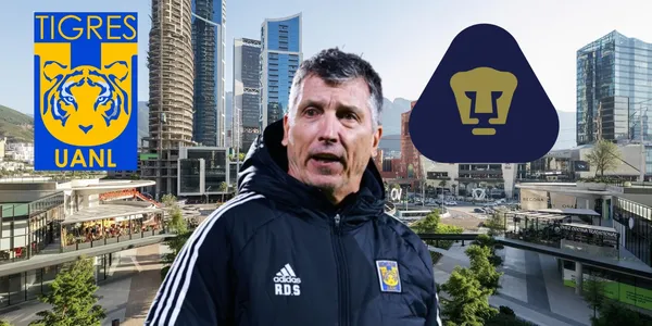 Siboldi en Nuevo León