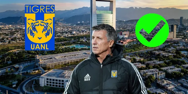 Siboldi en Nuevo León