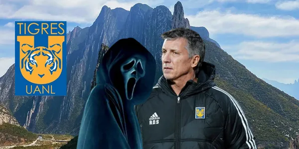 Siboldi en Nuevo León