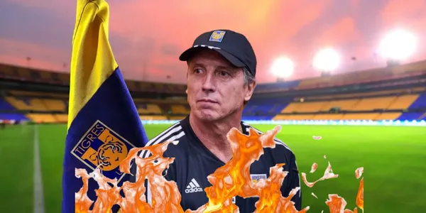 Siboldi en Nuevo León