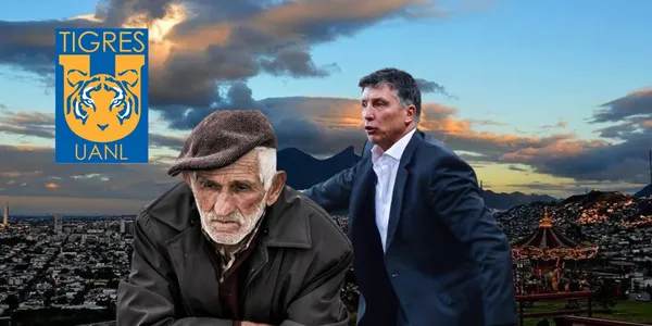 Siboldi en Nuevo León