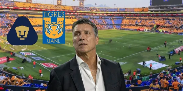 Siboldi en Nuevo León