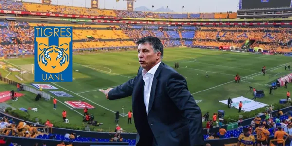 Siboldi en Nuevo León