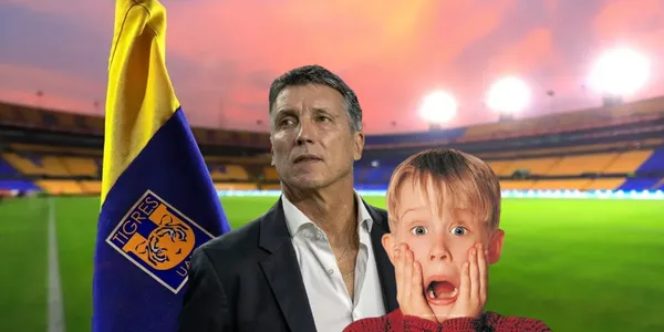 Siboldi en Nuevo León