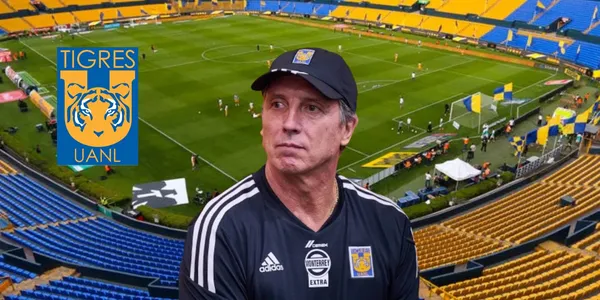 Siboldi en Nuevo León