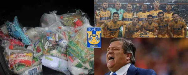 Solo André-Pierre Gignac y Florian Thauvin ganan más que él en Tigres, el fútbol le cambió la vida.