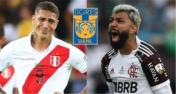 Tigres daría la sorpresa en el mercado. Un jugador de notables condiciones, que en Brasil la rompe y que sí quiere jugar por la U. A Miguel Herrera le cumplieron el tema de reforzar al equipo con un jugador campeón Olímpico.