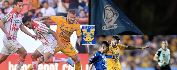 Tigres lo mandó a jugar al ascenso y ahora cobraría venganza en lo deportivo con el Necaxa.