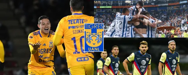 Tigres podría evaluar posibles refuerzos en el que ha sido el mejor equipo del torneo.