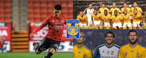 Tigres prepara el fichaje de Vladimir Loroña para mala noticia de uno de los líderes del vestidor.
