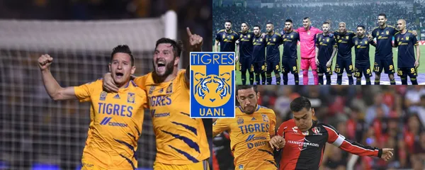 Tigres sacaría a uno de sus cracks que Miguel Herrera no quiere en el equipo y gana una cantidad importante de dinero.