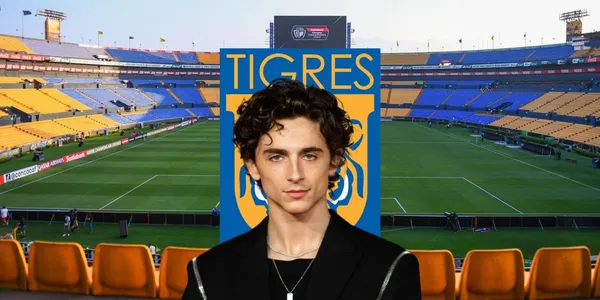 Timothée Chalamet con Tigres