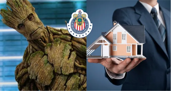 Un auténtico trozo de madera que en toda su carrera llegó a ganar 557 millones de pesos. Ahora se dedicará a la venta de casas.