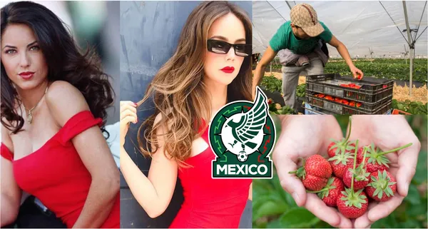 Un jugador de la selección de México pasó de estar con la actriz más reconocida de México a recolectar fresas y estar en el olvido.