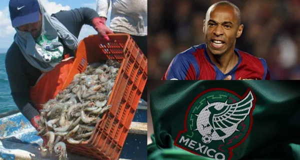 Un jugador mexicano que en su momento fue elogiado por su anotación. La FIFA incluso lo consideró mejor que Henry por este gol, ahora se dedica a otras actividades.