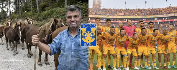 Un jugador no tiene actividad bajo el mando de Miguel Herrera en Tigres y podría dedicarse a otra profesión fuera del fútbol.