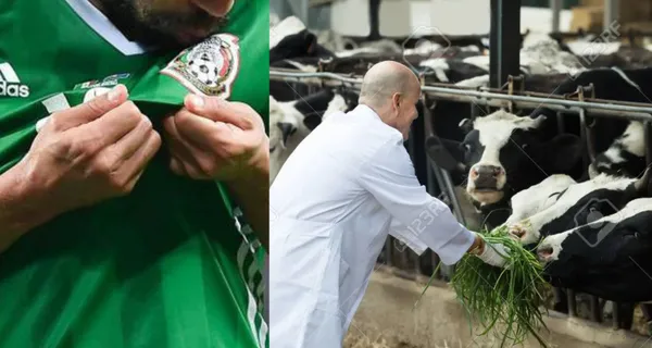 Un jugador que pasó de ponerse la camiseta del Tri y ser una de las figuras a tener que ahora cuidar al ganado.