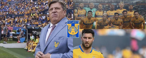 Un nuevo ídolo de Tigres se suma a otros tres que han criticado a Miguel Herrera.