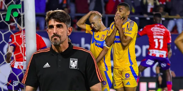Veljko Paunovic en Tigres (Fuente: MEXSPORT)