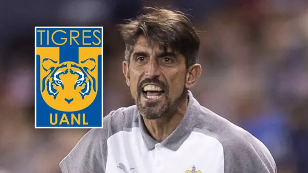 Veljko Paunovic (Foto: MEXSPORT)