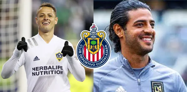 Vergara por fin tendría la llegada de su favorito