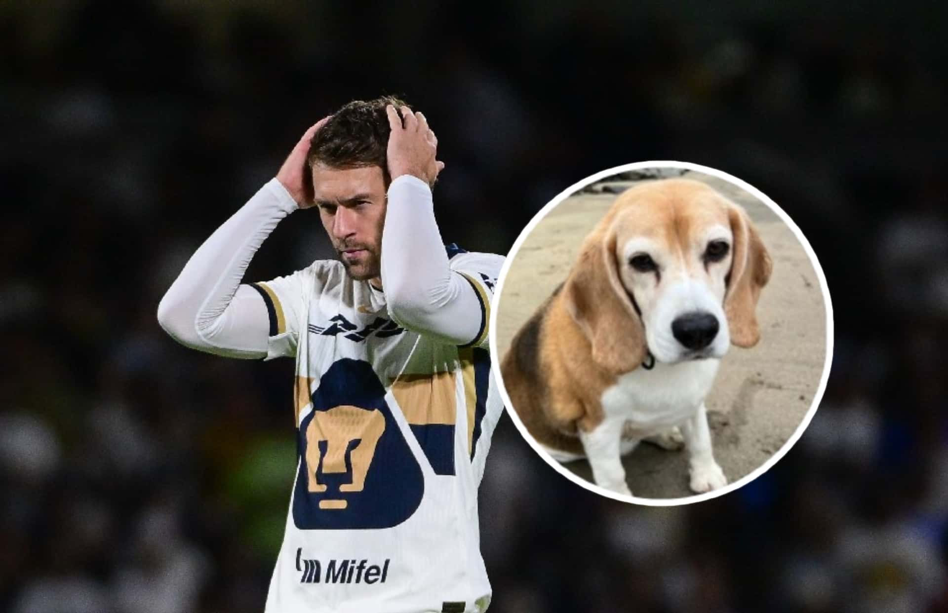 Aaron Ramsey y su perrito/ Foto Imago 7.