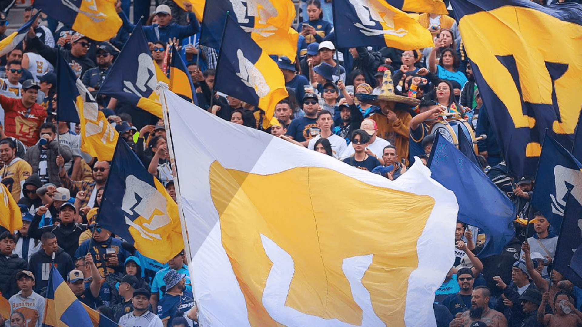 Aficionados de Pumas. | Foto: X oficial de @LigaBBVAMC