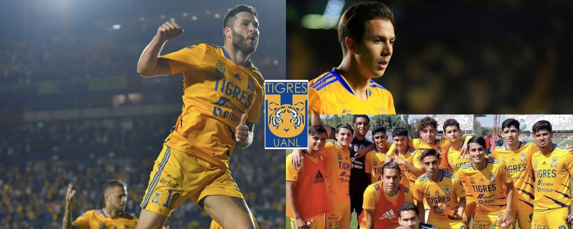 André-Pierre Gignac habla sobre Sebastián Córdova y ya exhibe quién será su nueva dupla en Tigres.