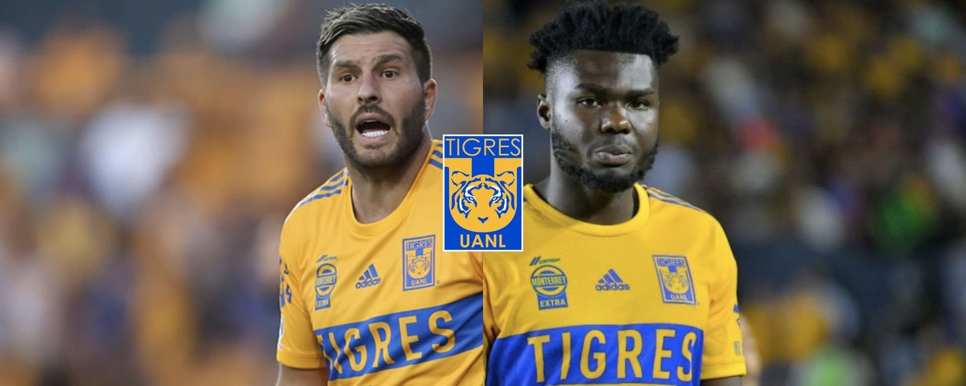 André-Pierre Gignac marca un golazo con Tigres y de paso exhibe como tronco a Jordy Caicedo.