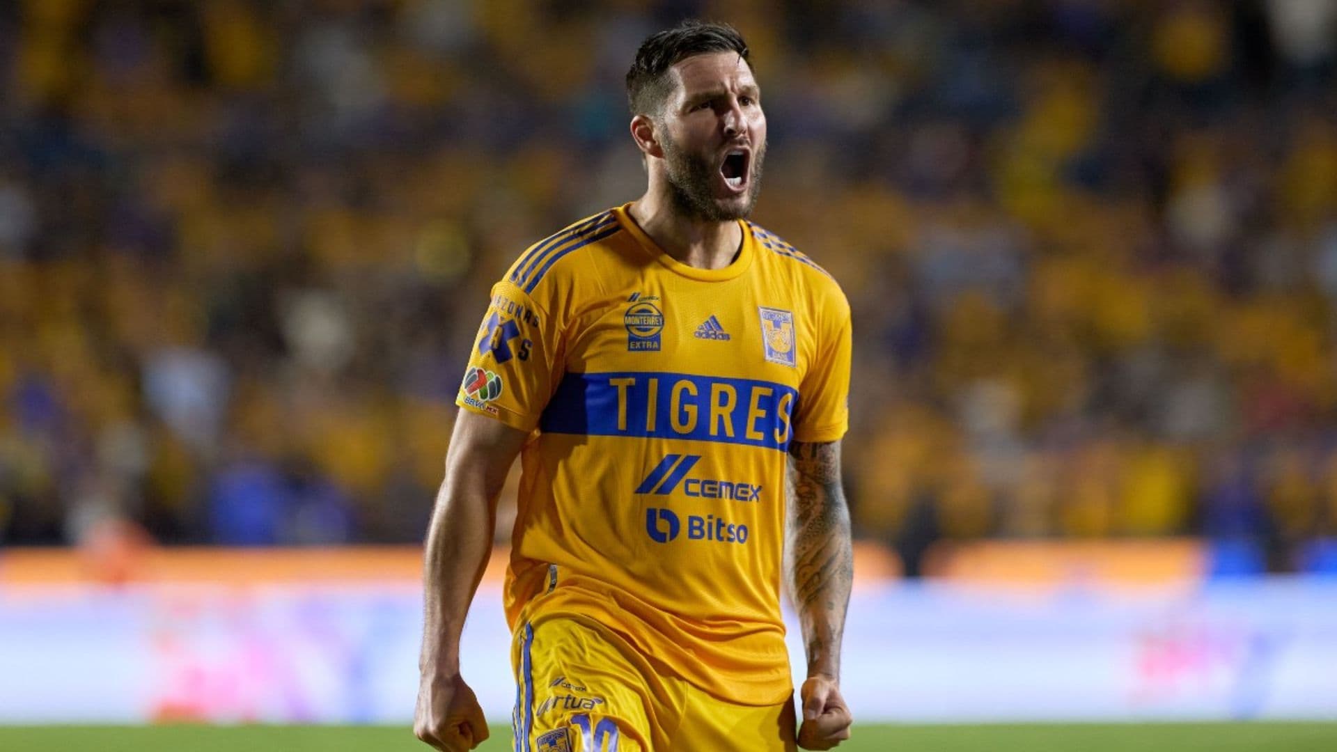 André-Pierre Gignac podría estar viviendo sus últimos partidos con Tigres (Foto: Mexsport)