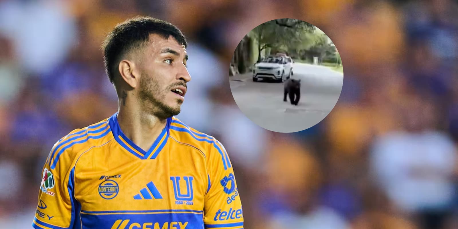 Ángel Correa y su encuentro con un oso / FOTO DIARIO AS