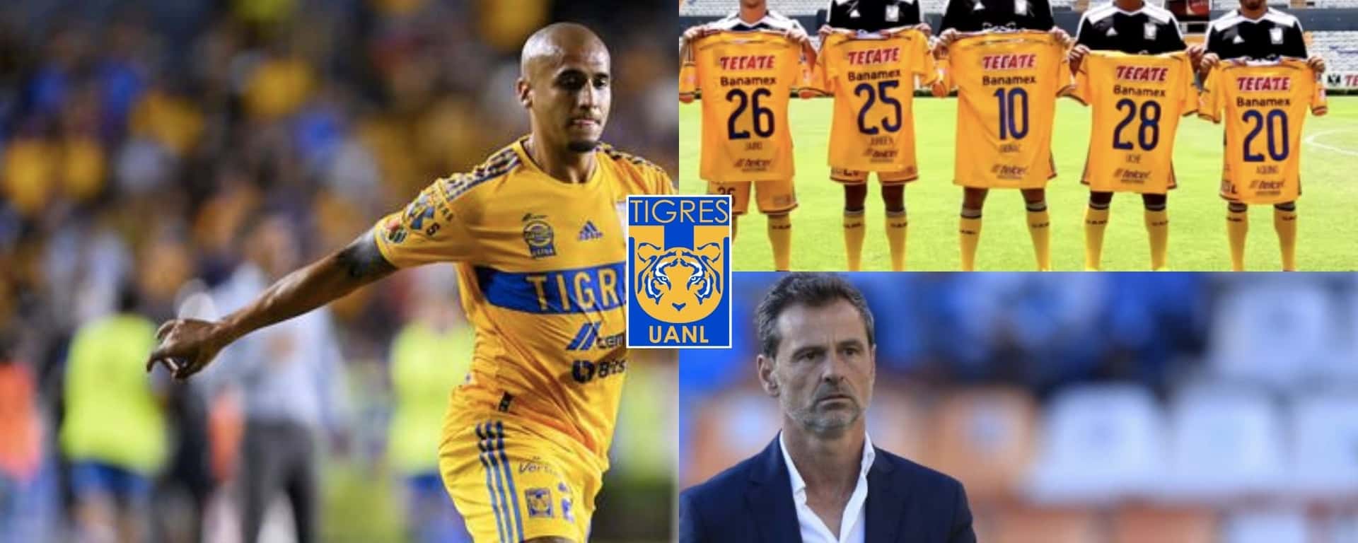 Apenas Luis Rodríguez salió de Tigres y ya se destapa quién lo reemplazará y entrena con el cuadro felino en la pretemporada.